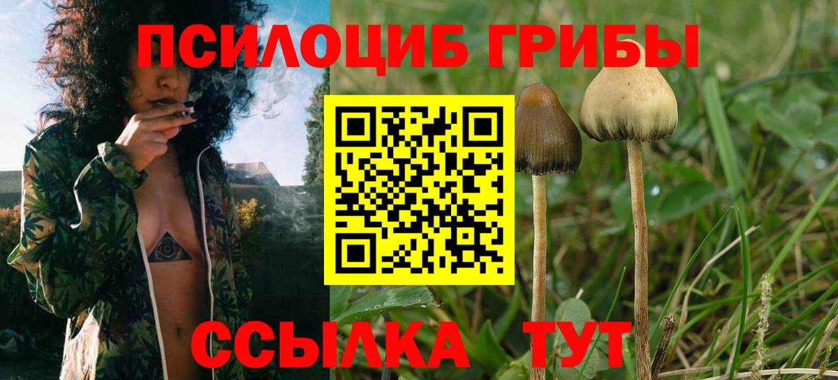 ГАШИШ  Вход с VPN  Кокаин  Бошки Шишки  Мефедрон кристаллы  Магадан  Марихуана  ГАШ 