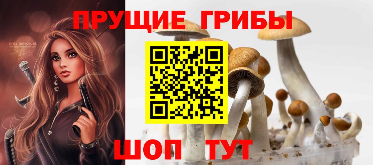 как найти   Вход с VPN  Магадан  Галлюциногенные грибы Magic Shrooms 
